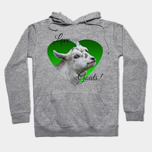 Pygmy Goat Kid Hoodie